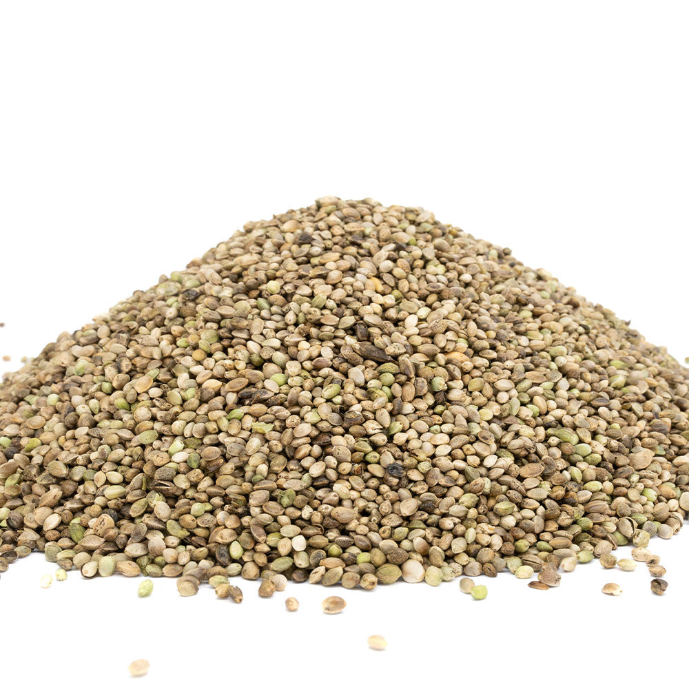 Bio Futterhanfsamen - Passion Barock