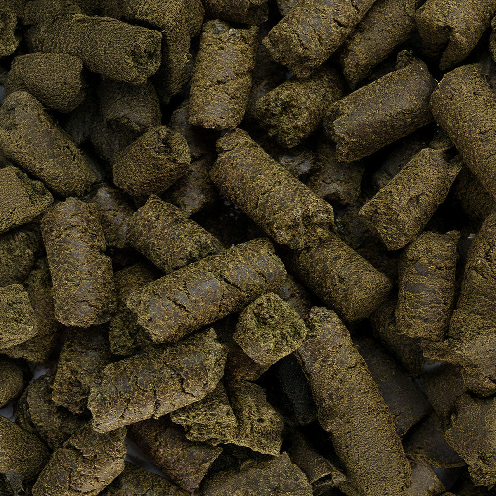 Bio Hanf-Leckerli - Passion Barock