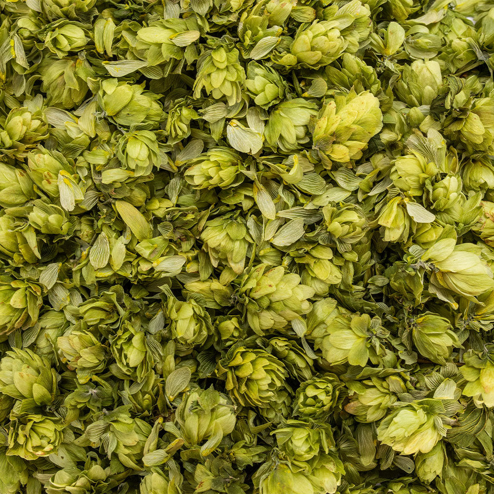 Hopfenblüten - Passion Barock