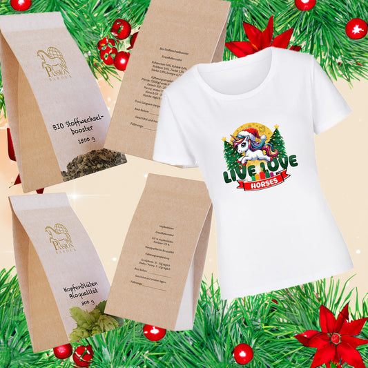 Christmas Bundle Stoffwechsel - Passion Barock